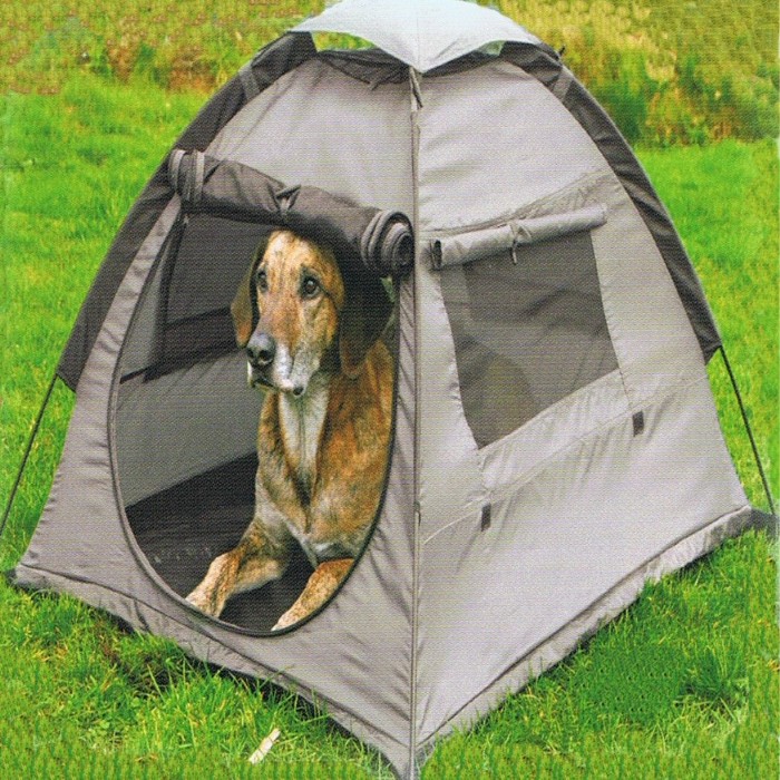 tent camping with pets